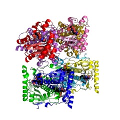 Example Structure of 5,6-dimethylbenzimidazole synthase EC#: 1.13.11.79