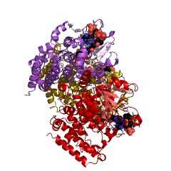 Example Structure of (3,5-dihydroxyphenyl)acetyl-CoA 1,2-dioxygenase EC#: 1.13.11.80
