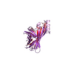 Example Structure of Oplophorus-luciferin 2-monooxygenase EC#: 1.13.12.13