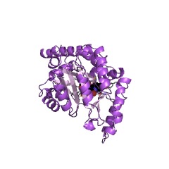 Example Structure of nitronate monooxygenase EC#: 1.13.12.16