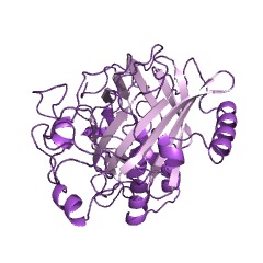 Example Structure of dinoflagellate luciferase EC#: 1.13.12.18