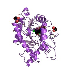 Example Structure of 2-oxoglutarate dioxygenase (ethylene-forming) EC#: 1.13.12.19