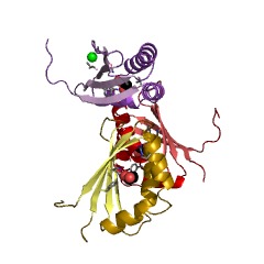Example Structure of deoxynogalonate monooxygenase EC#: 1.13.12.22