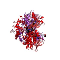 Example Structure of tryptophan 2-monooxygenase EC#: 1.13.12.3