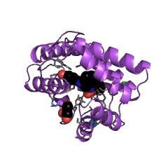 Example Structure of Renilla-type luciferase EC#: 1.13.12.5