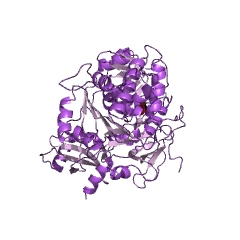 Example Structure of firefly luciferase EC#: 1.13.12.7