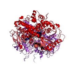 Example Structure of phenylalanine 2-monooxygenase EC#: 1.13.12.9