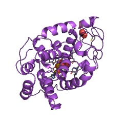 Example Structure of inositol oxygenase EC#: 1.13.99.1