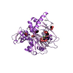 Example Structure of gamma-butyrobetaine dioxygenase EC#: 1.14.11.1