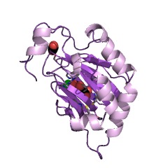 Example Structure of peptide-aspartate beta-dioxygenase EC#: 1.14.11.16