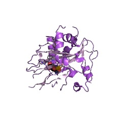 Example Structure of phytanoyl-CoA dioxygenase EC#: 1.14.11.18