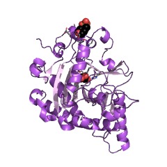 Example Structure of leucocyanidin oxygenase EC#: 1.14.11.19