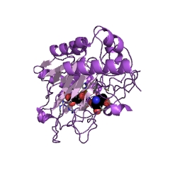 Example Structure of clavaminate synthase EC#: 1.14.11.21
