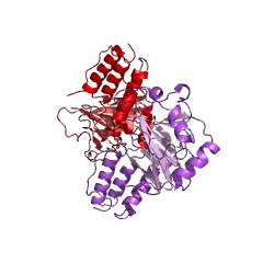 Example Structure of proline 3-hydroxylase EC#: 1.14.11.28