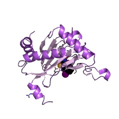 Example Structure of hypoxia-inducible factor-proline dioxygenase EC#: 1.14.11.29