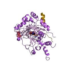 Example Structure of hypoxia-inducible factor-asparagine dioxygenase EC#: 1.14.11.30