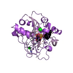 Example Structure of 1-deoxypentalenic acid 11beta-hydroxylase EC#: 1.14.11.35