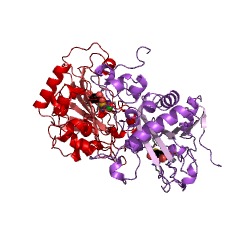 Example Structure of verruculogen synthase EC#: 1.14.11.38
