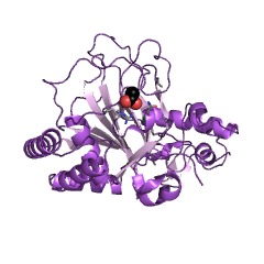 Example Structure of L-asparagine hydroxylase EC#: 1.14.11.39