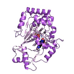Example Structure of L-arginine hydroxylase EC#: 1.14.11.41