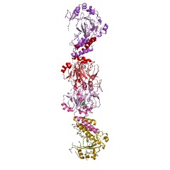 Example Structure of tRNAPhe (7-(3-amino-3-carboxypropyl)wyosine37-C2)-hydroxylase EC#: 1.14.11.42