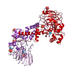 Example Structure of 50S ribosomal protein L16 3-hydroxylase EC#: 1.14.11.47