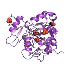 Example Structure of ectoine hydroxylase EC#: 1.14.11.55