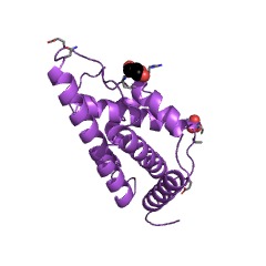 Example Structure of thymine dioxygenase EC#: 1.14.11.6