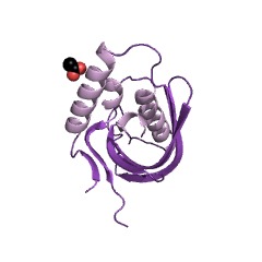 Example Structure of benzoate 1,2-dioxygenase EC#: 1.14.12.10