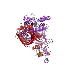 Example Structure of naphthalene 1,2-dioxygenase EC#: 1.14.12.12
