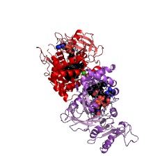 Example Structure of nitric oxide dioxygenase EC#: 1.14.12.17