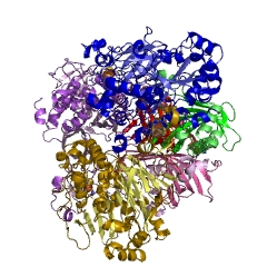 Example Structure of biphenyl 2,3-dioxygenase EC#: 1.14.12.18