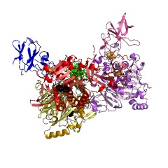 Example Structure of carbazole 1,9a-dioxygenase EC#: 1.14.12.22