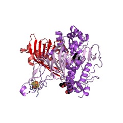 Example Structure of benzene 1,2-dioxygenase EC#: 1.14.12.3