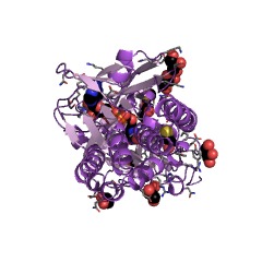 Example Structure of 3-hydroxy-2-methylpyridinecarboxylate dioxygenase EC#: 1.14.12.4