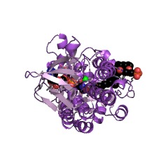 Example Structure of salicylate 1-monooxygenase EC#: 1.14.13.1
