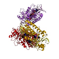 Example Structure of 2,6-dihydroxypyridine 3-monooxygenase EC#: 1.14.13.10