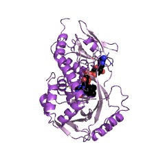 Example Structure of FAD-dependent urate hydroxylase EC#: 1.14.13.113