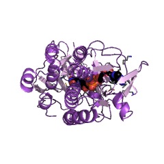 Example Structure of 6-hydroxynicotinate 3-monooxygenase EC#: 1.14.13.114