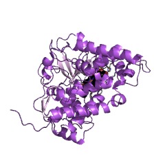 Example Structure of cholest-4-en-3-one 26-monooxygenase [(25S)-3-oxocholest-4-en-26-oate forming] EC#: 1.14.13.141