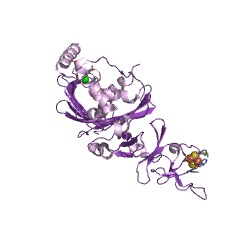 Example Structure of 3-ketosteroid 9alpha-monooxygenase EC#: 1.14.13.142