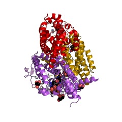 Example Structure of phenylacetyl-CoA 1,2-epoxidase EC#: 1.14.13.149