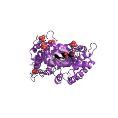 Example Structure of erythromycin 12-hydroxylase EC#: 1.14.13.154