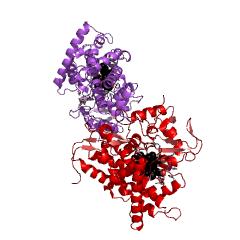 Example Structure of 1,8-cineole 2-endo-monooxygenase EC#: 1.14.13.156