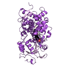 Example Structure of 1,8-cineole 2-exo-monooxygenase EC#: 1.14.13.157