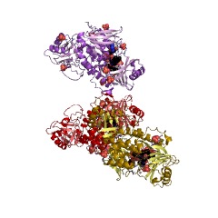 Example Structure of aklavinone 12-hydroxylase EC#: 1.14.13.180