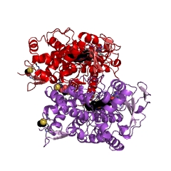 Example Structure of pikromycin synthase EC#: 1.14.13.185