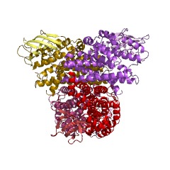 Example Structure of L-evernosamine nitrososynthase EC#: 1.14.13.187