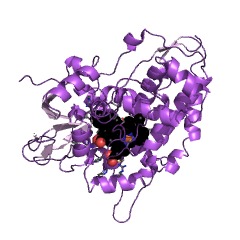 Example Structure of 6-deoxyerythronolide B hydroxylase EC#: 1.14.13.188