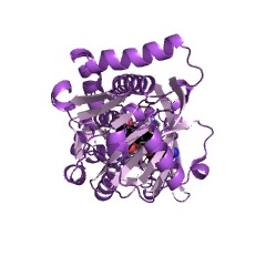 Example Structure of 4-hydroxybenzoate 3-monooxygenase EC#: 1.14.13.2